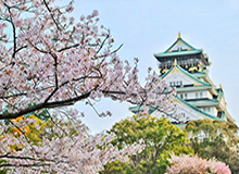 2026世界杯-欧国联算啥，马内齐耶赫们最近在非洲嗨爆了！